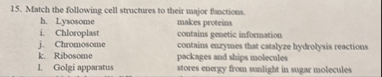 Solved Match the following cell structures to their major | Chegg.com