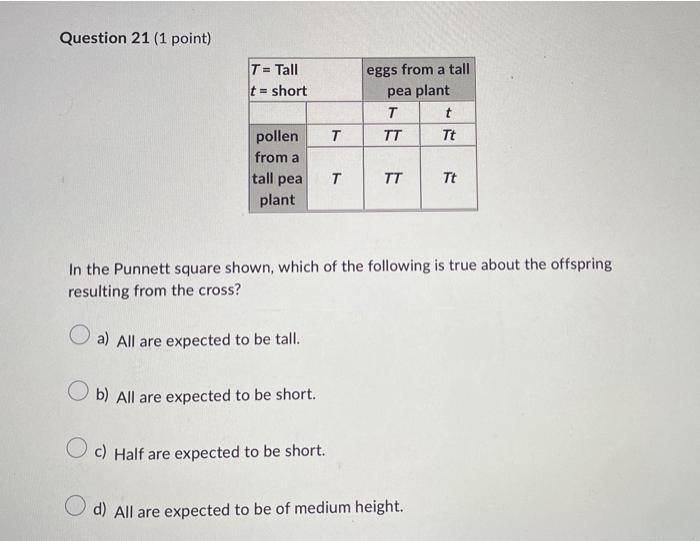 Solved Question 21 (1 point) In the Punnett square shown, | Chegg.com