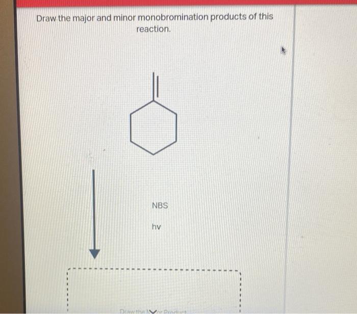 Solved Draw the major and minor monobromination products of