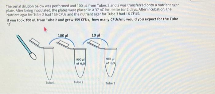 Solved The Serial Dilution Below Was Performed And 100μL | Chegg.com