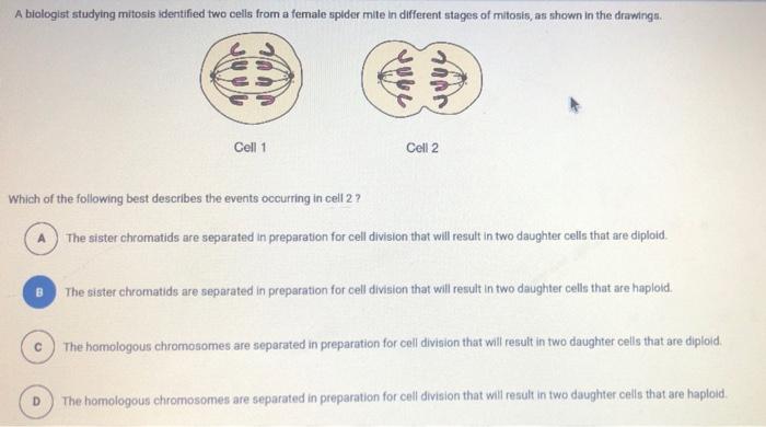 Solved A biologist studying mitous identified two cells from | Chegg.com