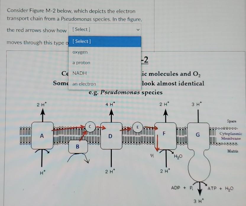 Solved Match the correct definition to each term below. | Chegg.com