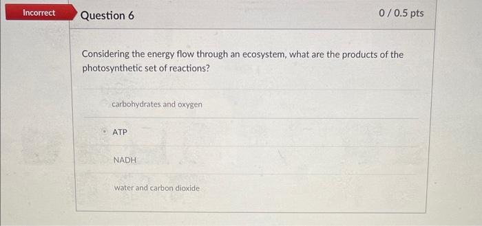 Solved Again, considering the energy flow through an | Chegg.com