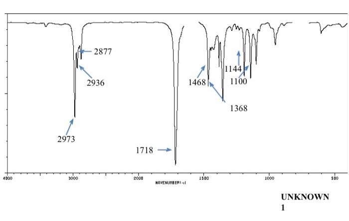 Solved using this NMR and IR spectra, draw a reasonable | Chegg.com