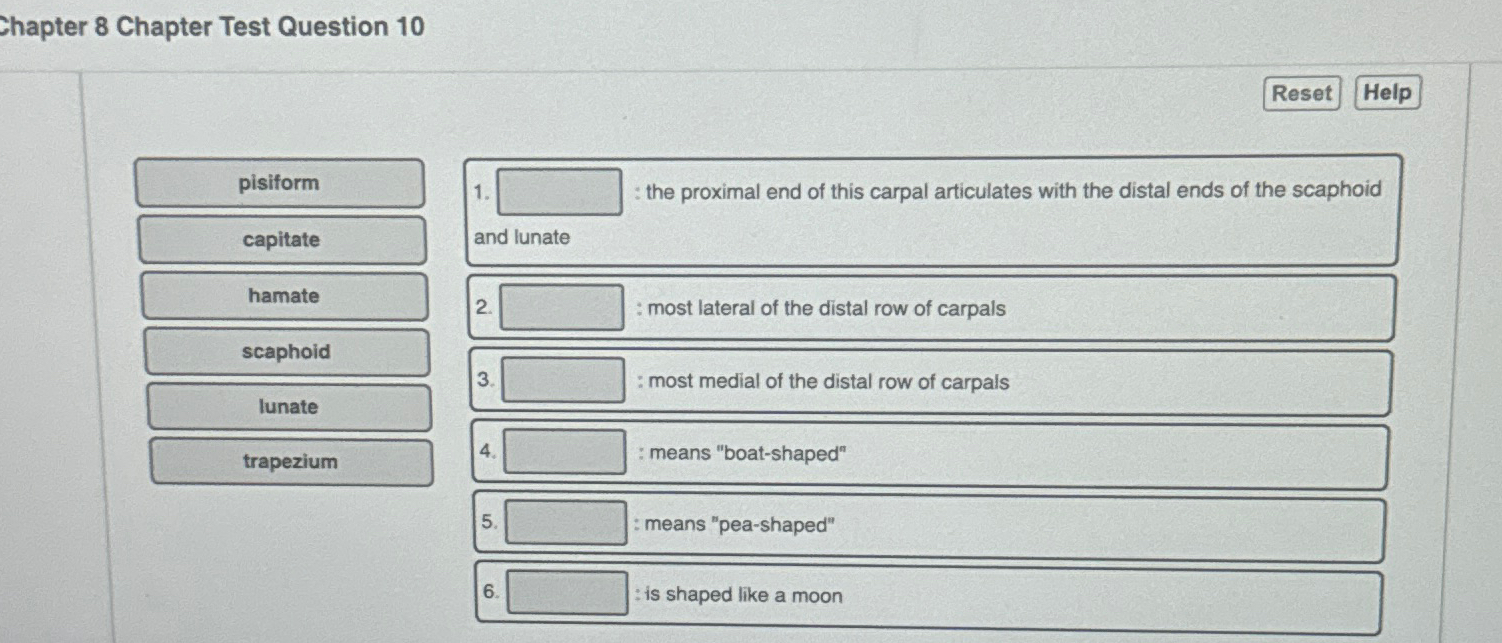 Solved Chapter 8 Chapter Test Question 10the proximal end Chegg