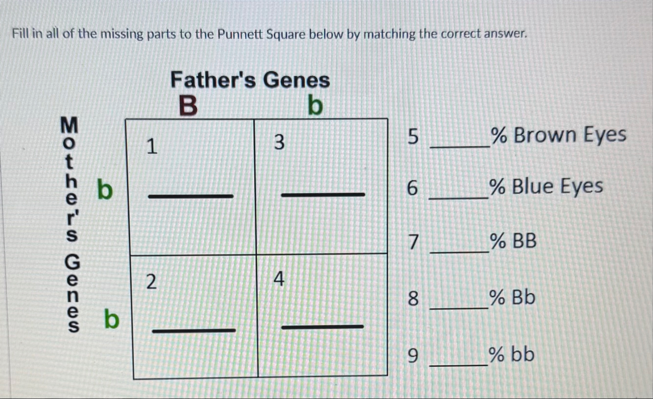 Fill in all of the missing parts to the Punnett | Chegg.com