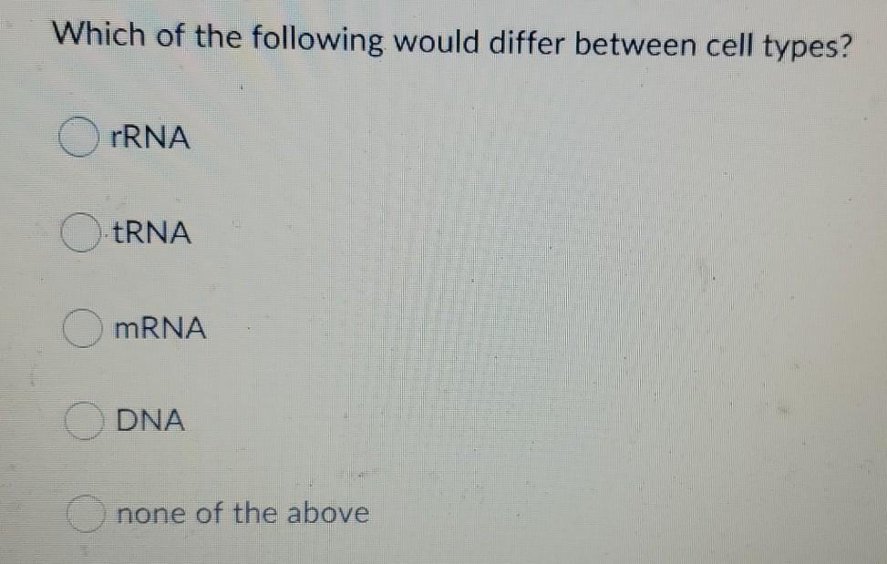 Which of the following would differ between cell types? ORNA tRNA mRNA DNA none of the above