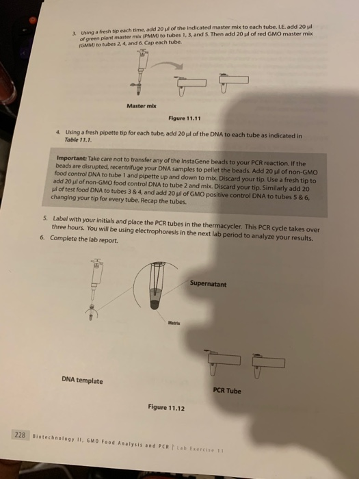 Solved 2. Read through Lesson 1 PROCEDURE. Answer the | Chegg.com