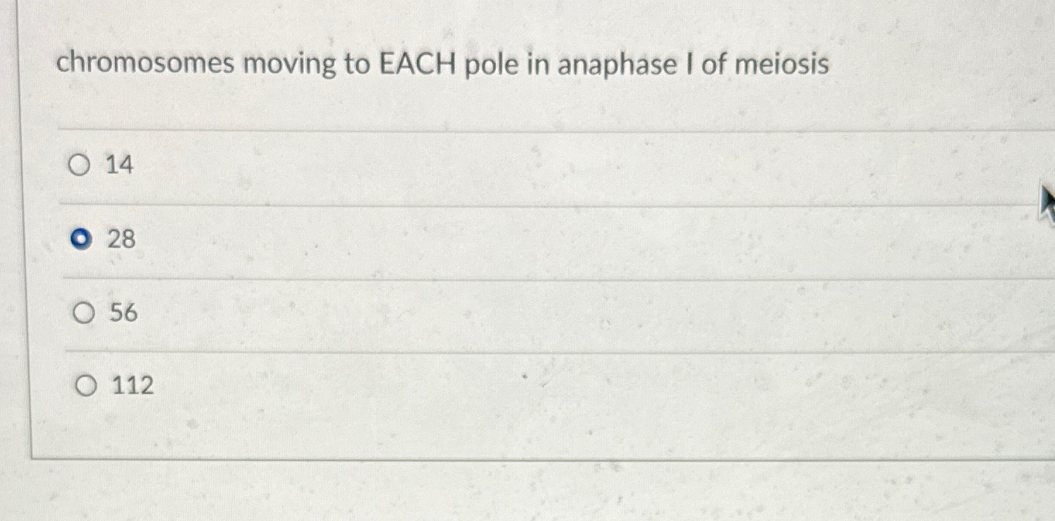 Solved chromosomes moving to EACH pole in anaphase I of | Chegg.com
