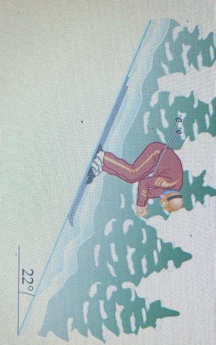find the magnitude of the net force acting on the skier