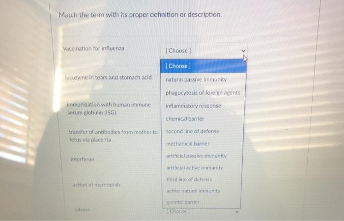 Solved Match the term with its proper definition or | Chegg.com