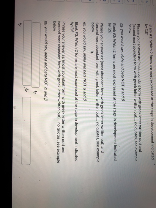 Solved Question 24 6 Points 11 Part In The Total Synthe Chegg Com