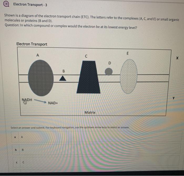 Solved Electron Transport - 3 Shown is a diagram of the | Chegg.com