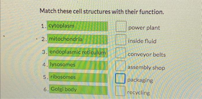 Solved Match these cell structures with their function. 1. | Chegg.com