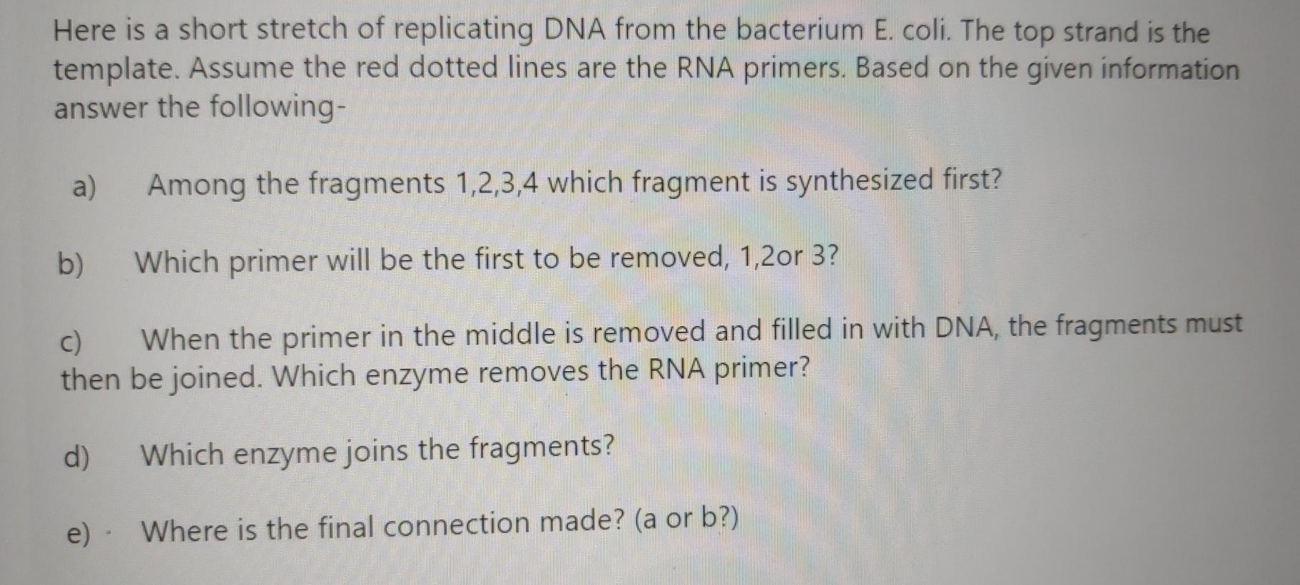 Solved Here is a short stretch of replicating DNA from the | Chegg.com