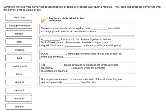  Solved Complete The Following Sentences To Describe The