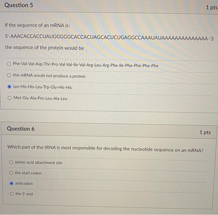 Solved Question 5 1 pts If the sequence of an mRNA is: | Chegg.com