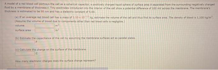 Solved A model of a red blood cell portrays the cell as a | Chegg.com