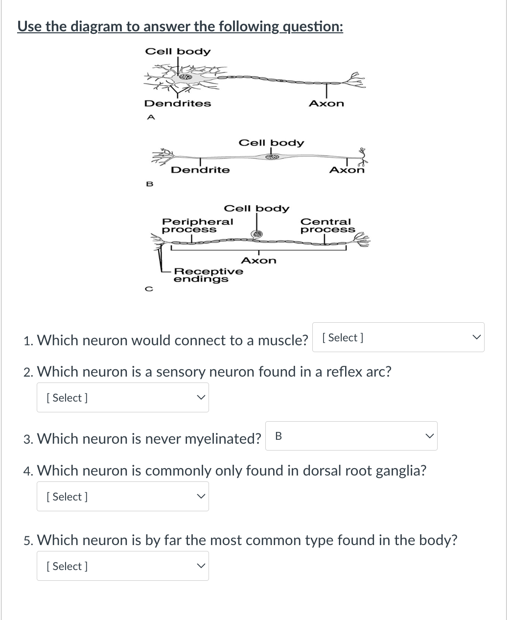 Solved Use the diagram to answer the following Chegg