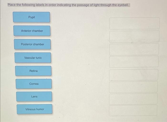 solved-complete-each-sentence-by-dragging-the-proper-word-to-chegg