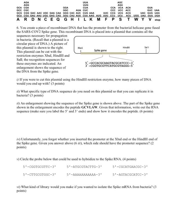 Solved You Create A Piece Of Recombinant Dna That Has The Chegg Com