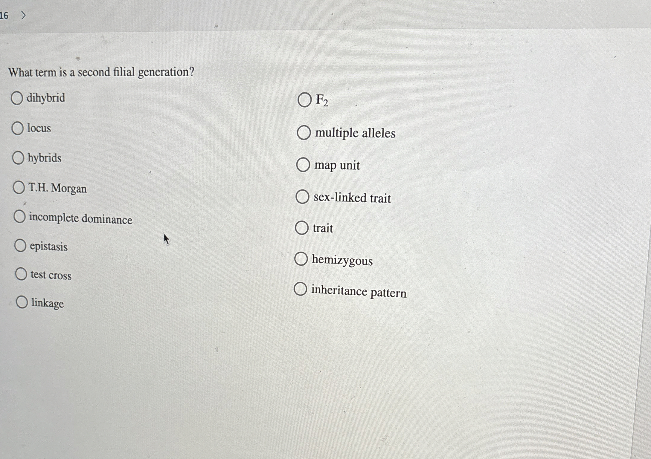 Solved What term is a second filial | Chegg.com