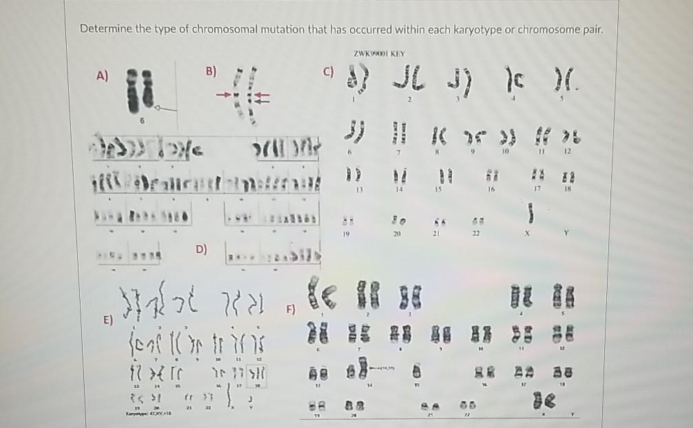 Solved Determine the type of chromosomal mutation that has | Chegg.com