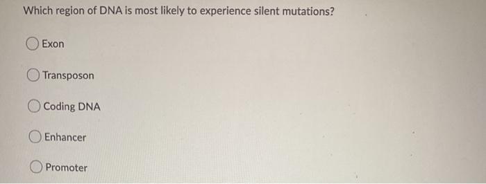 Solved Which region of DNA is most likely to experience | Chegg.com