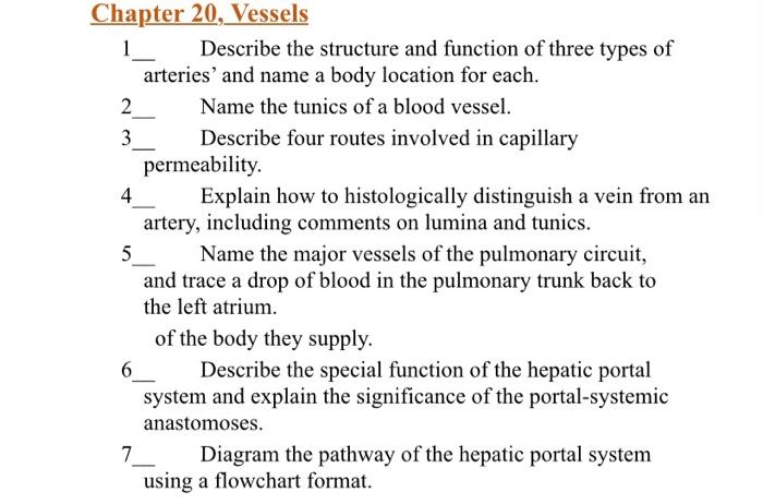 structure and function of arteries