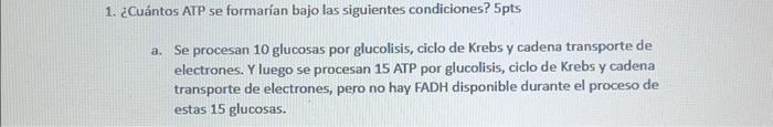 1. ¿Cuántos ATP se formarian bajo las siguientes condiciones? 5 pts a. Se procesan 10 glucosas por glucolisis, ciclo de Krebs