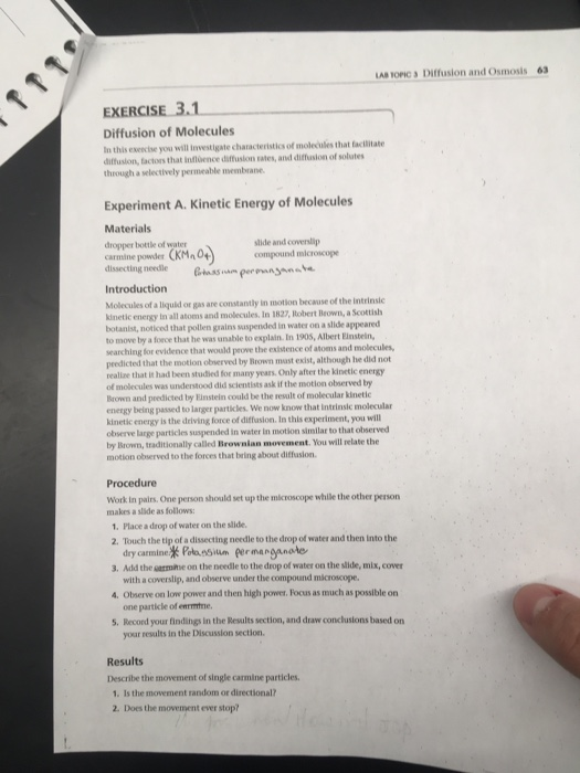 LAB TOPC Diffusion and Osmosis 63 EXERCISE 3.1 | Chegg.com