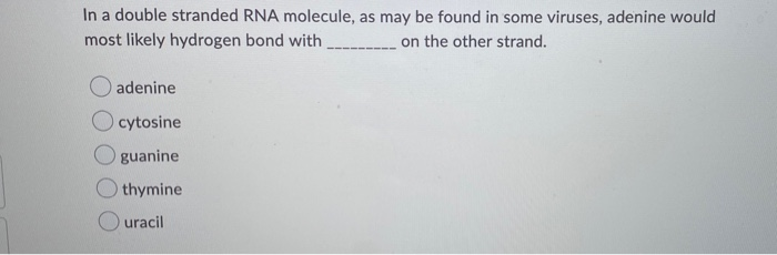 Solved In A Double Stranded Rna Molecule As May Be Found In Chegg Com