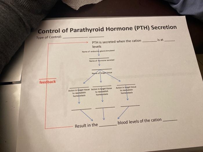 Control of Parathyroid Hormone (PTH) Secretion Type of Control: PTH is secreted when the cation levels is at Name of endocrin