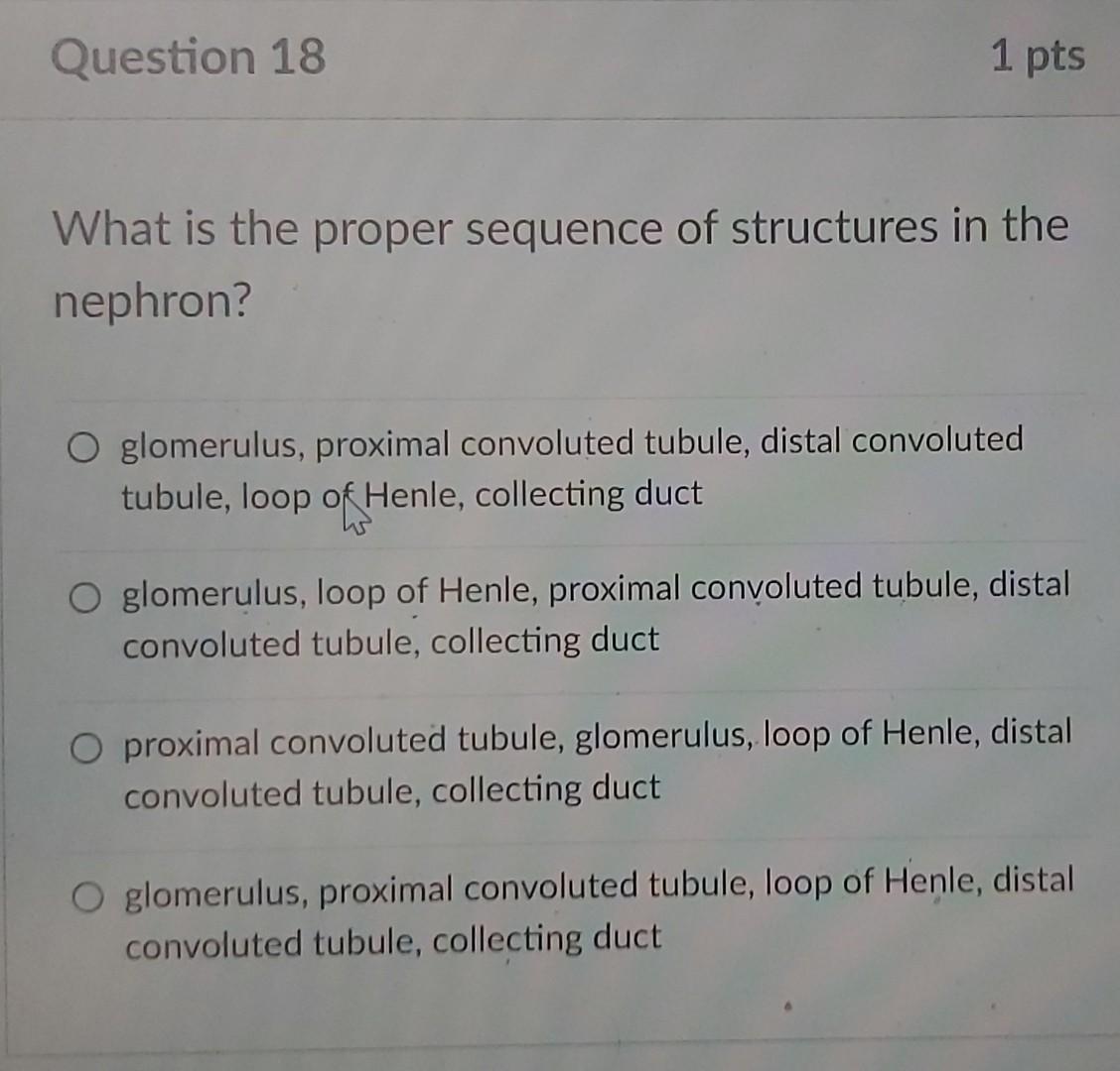 which statement regarding the glucocorticoid hypothesis of depression is false