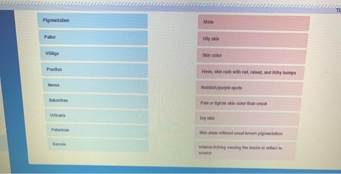 TH Pigmentation Molo Pallor Oily skin Vitiligo Skin color Pruritus Hives, skin rash with red, rained, and itchy bumps Nervus