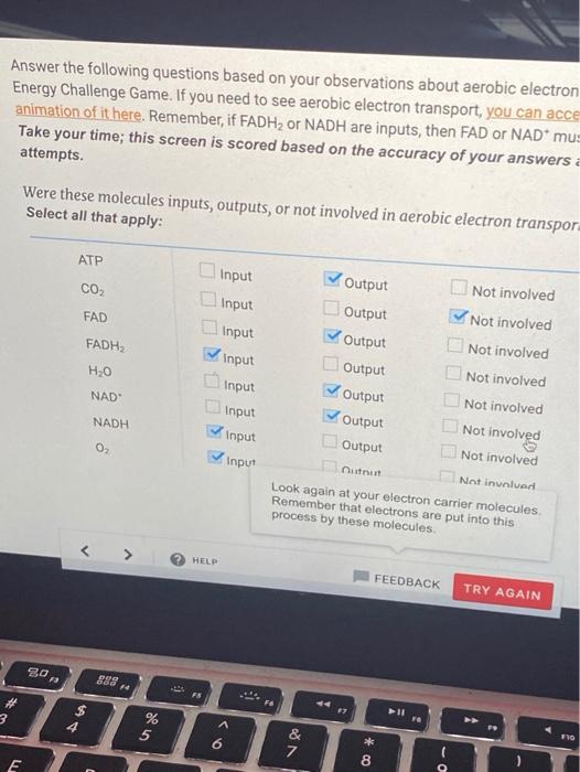 Solved Answer the following questions based on your | Chegg.com