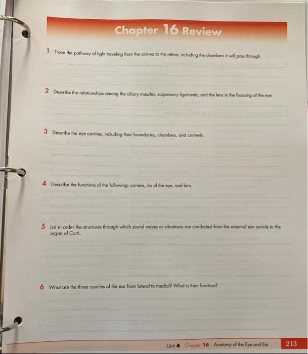 Solved Chapter 16 Review 1 Trace the pathway of light | Chegg.com