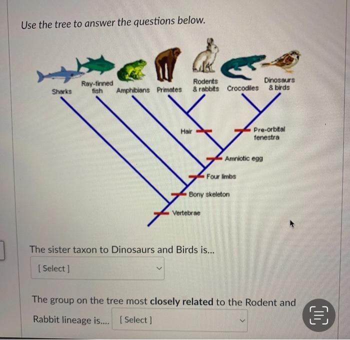 Solved Use the tree to answer the questions below. | Chegg.com