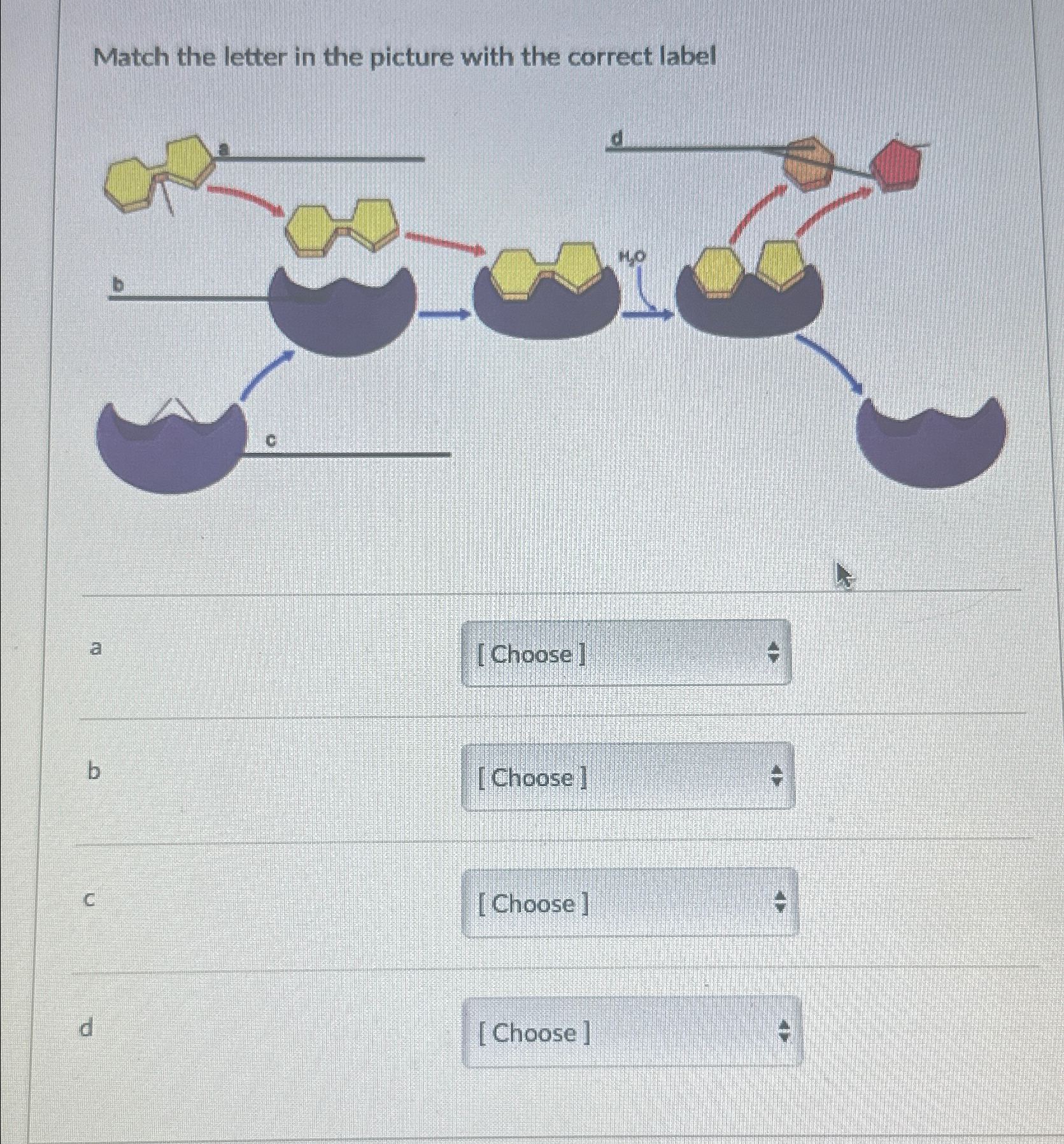 Match the letter in the picture with the correct | Chegg.com