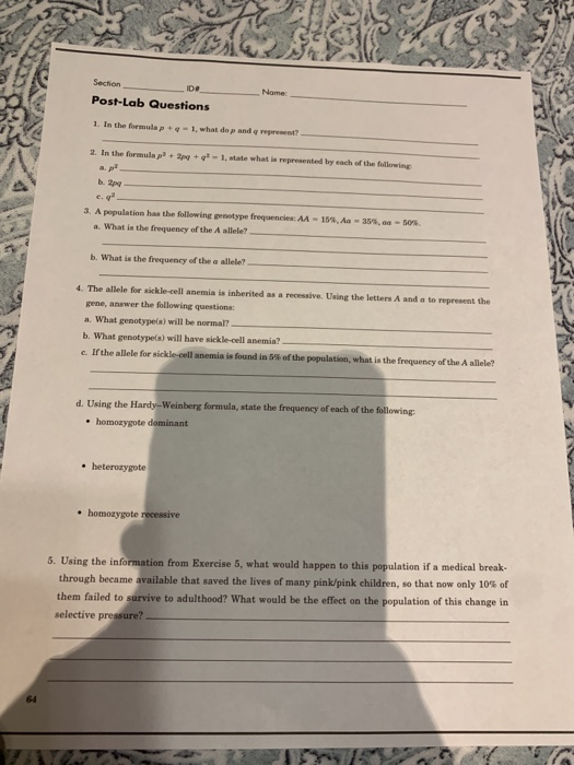 Solved Section Ido Post Lab Questions Nome 1 In The Form Chegg Com - pf à¸£ à¸§ à¸§ m9 6 scope à¹‚à¸«à¸”à¹€à¸ à¸™ à¸£ à¸§ à¸§à¹à¸¥ à¸§à¸« à¸§à¸£ à¸­à¸™ roblox youtube