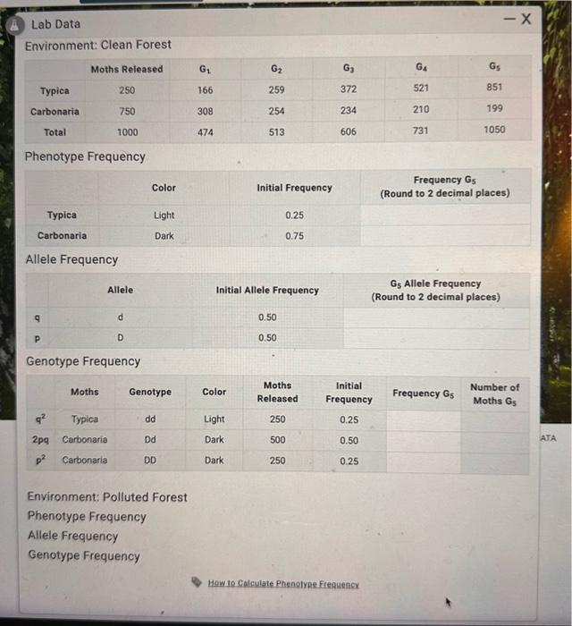 Solved Lab Data Environment Clean Forest Phenotype