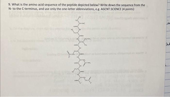 Solved 9. What is the amino acid sequence of the peptide | Chegg.com