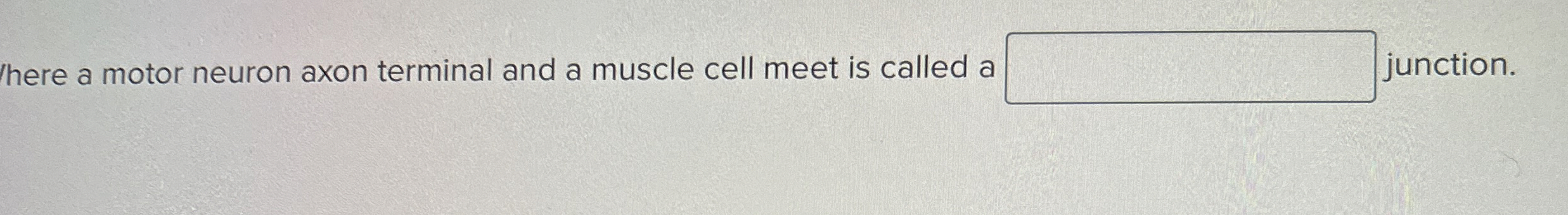Solved here a motor neuron axon terminal and a muscle cell | Chegg.com