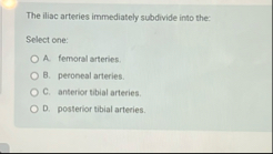 Solved The iliac arteries immediately subdivide into | Chegg.com
