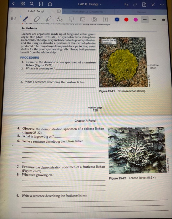 Solved Lab 8: Fungi