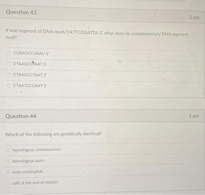 Solved Question 43 2 pts If one segment of DNA reads | Chegg.com