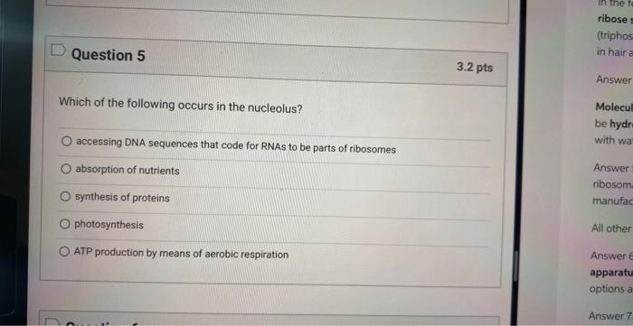 Solved Which of the following occurs in the nucleolus? | Chegg.com