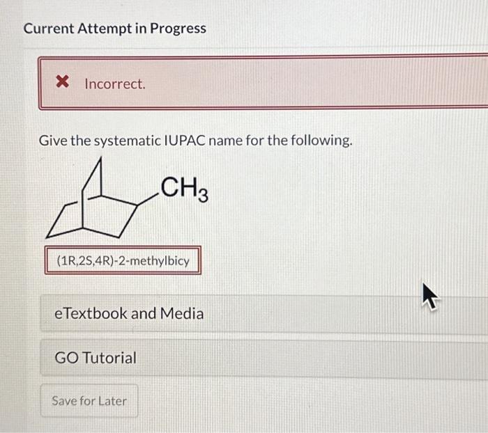 Solved Current Attempt in Progress x Incorrect. Give the | Chegg.com