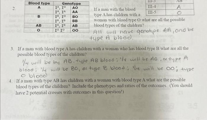 Solved 3. If a man with blood type A has children with a | Chegg.com