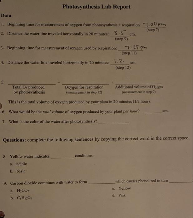 Solved Photosynthesis Lab Report Data cm. 1. Beginning time